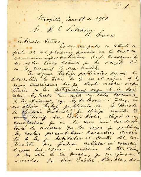 [Carta] 1903 enero 13, Tocopilla, Chile [a] Ricardo E. Latcham.