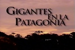 Gigante de la Patagonia
