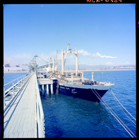 Barco "Wistaria Pearl", puerto Las Ventanas, embarque de concentrado.