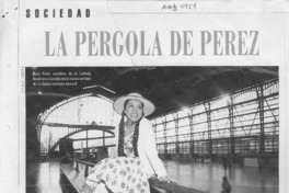 La pérgola de Pérez  [artículo] Vidia Gutiérrez.