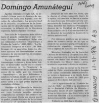 Domingo Amunátegui