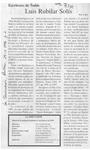 Luis Rubilar Solís  [artículo] C. R. I.