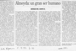Almeyda: un gran ser humano  [artículo] Hernán del Canto R.