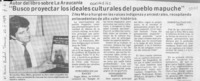 "Busco proyectar los ideales culturales del pueblo mapuche"  [artículo].