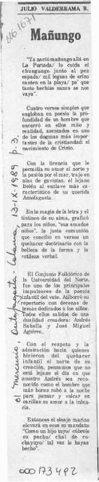 Mañungo  [artículo] Julio Valderrama B.