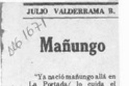 Mañungo  [artículo] Julio Valderrama B.