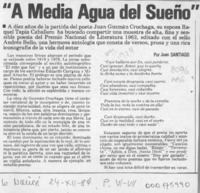 "A media agua del sueño"  [artículo] Juan Santiago.