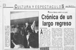 Crónica de un largo regreso  [artículo] Cristián Soto.