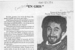 "En gris"  [artículo] Ernesto Vásquez Méndez.