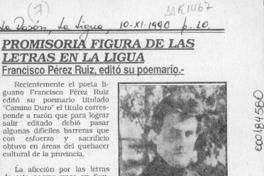 Promisoria figura de las letras en La Ligua  [artículo].