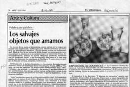 Los salvajes objetos que amamos  [artículo] Marcelo Novoa.