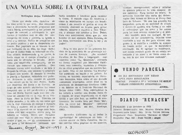 Una novela sobre la Quintrala  [artículo] Wellington Rojas Valdebenito.