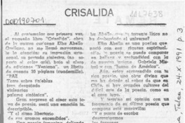 Crisálida  [artículo] José Flores Leiva.
