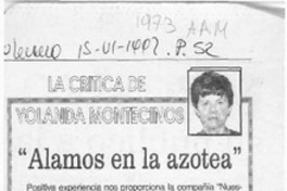 "Alamos en la azotea"  [artículo] Yolanda Montecinos.