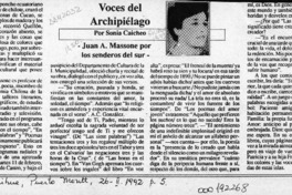 Juan A. Massone por los senderos del sur  [artículo] Sonia Caicheo.