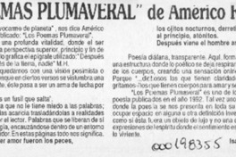 "Los poemas plumaveral" de Américo Reyes  [artículo] Isabel Gómez Muñoz.