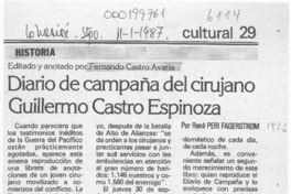 Diario de campaña del cirujano Guillermo Castro Espinoza, editado y anotado por Fernando Castro Avaria  [artículo].