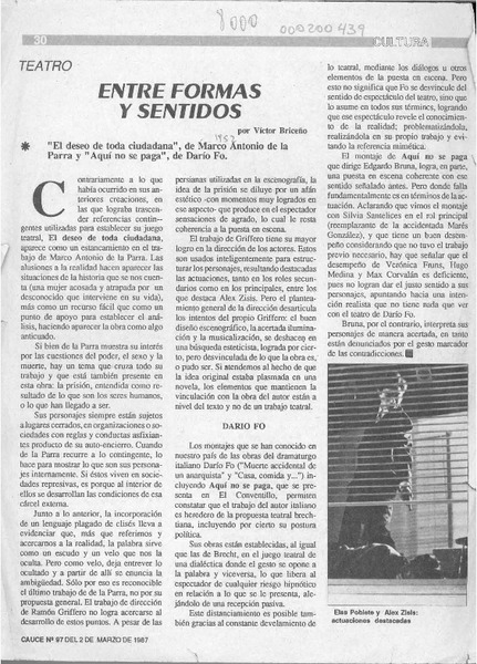 Entre formas y sentidos  [artículo] Víctor Briceño.