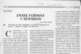 Entre formas y sentidos  [artículo] Víctor Briceño.