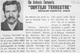 "Cortejo terrestre"  [artículo] Reinaldo Sandoval Durán.