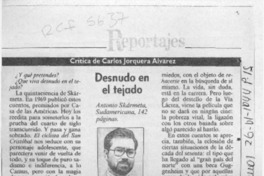 Desnudo en el tejado  [artículo] Carlos Jorquera Alvarez.
