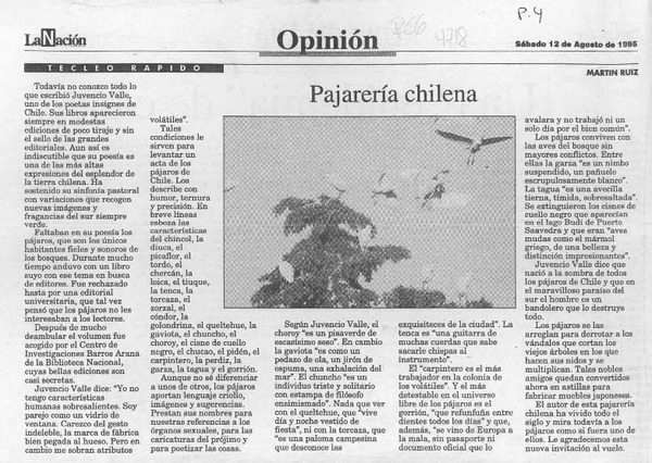 Pajarería chilena  [artículo] Martín Ruiz.