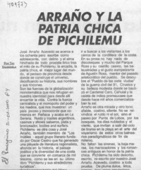 Arraño y la patria chica de Pichilemu  [artículo] Teo Valenzuela