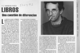 Roberto Bolaño, la turbulencia y la gloria  [artículo]