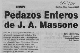 Pedazos enteros de J. A. Massone  [artículo] Rosa Cruchaga