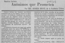 Anónimos que prometen  [artículo] Fidel Araneda Bravo.
