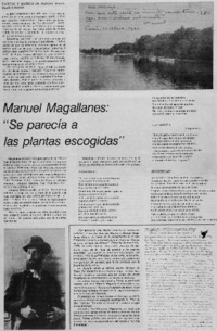 Manuel Magallanes: "se parecía a las plantas escogidas".