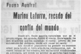Marina Latorre, recado del confin del mundo