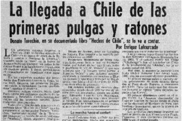 La llegada a Chile de las primeras pulgas y ratones
