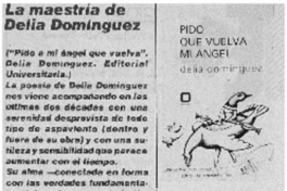 La maestría de Delia Domínguez.