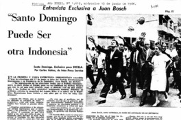 Santo Domingo puede ser otra Indonesia"