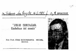 "Julio Cortázar: cuidando del mundo"