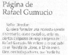 Página de Rafael Gumucio