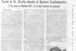 Carta al Sr. Zurita desde el Splenn Coyhaiquino.