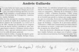 Andrés Gallardo  [artículo] Ramón Riquelme
