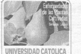Universidad Católica editó libro sobre cultivos y sus enfermedades.