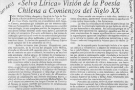 "Selva lírica" visión de la poesía chilena a comienzos del siglo XX  [artículo].