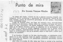 Punto de mira  [artículo] Ernesto Vásquez Méndez.