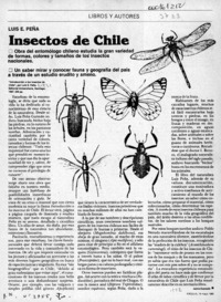 Insectos de Chile  [artículo] Jaime Quezada.