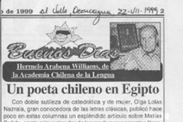 Un poeta chileno en Egipto  [artículo] Hermelo Arabena Williams