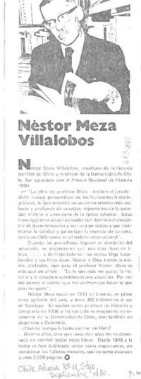 Néstor Meza Villalobos.