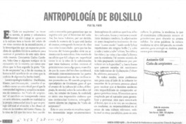 antropología de bolsillo  [artículo] Tal Pinto.