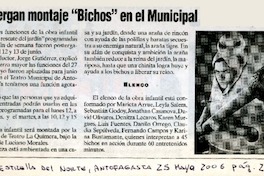 Postergan montaje "Bichos" en el Municipal  [artículo]
