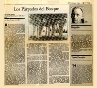 Los Párpados del bosque  [artículo]Luis Vargas Saavedra.