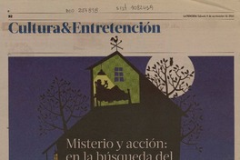 Misterio y acción: en la búsqueda del best seller chileno  [artículo] Roberto Careaga C.