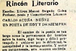 Rincón literario  [artículo] Edison Marcel Salgado Galaz.